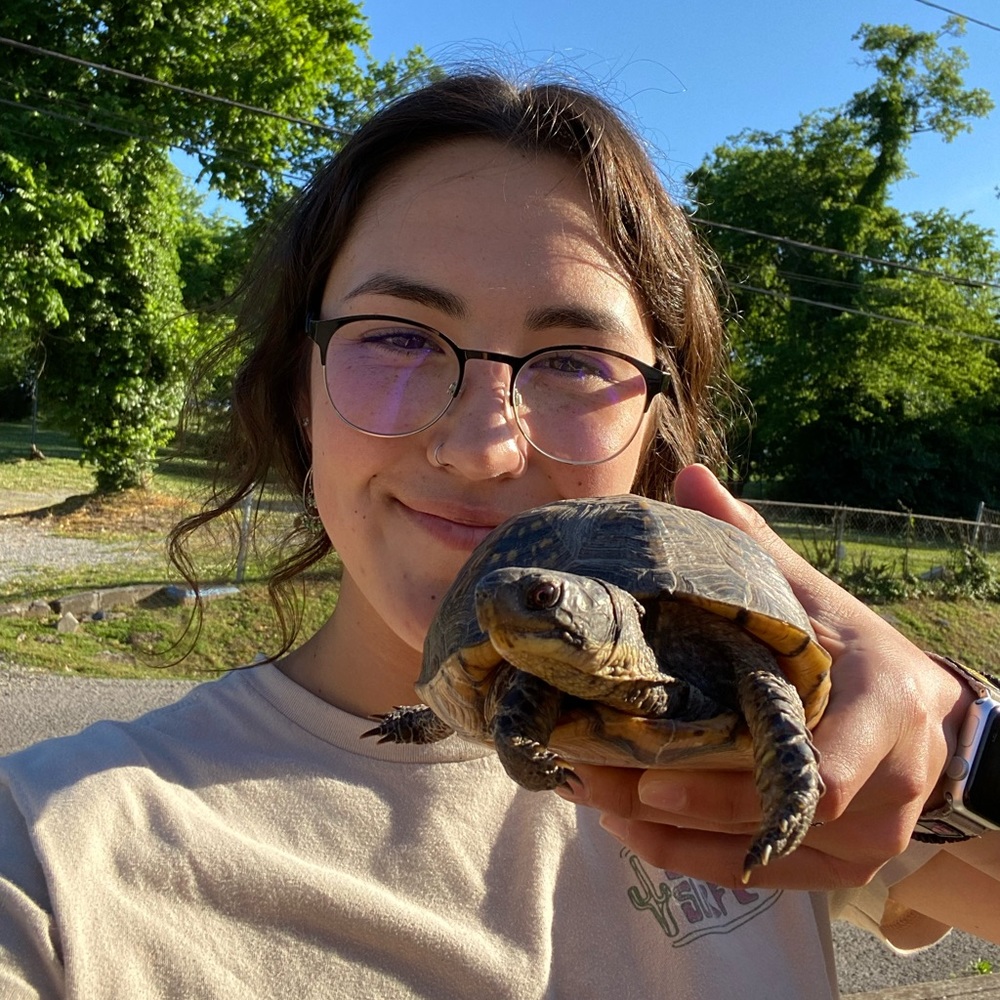 Meet your Posher, Madeline